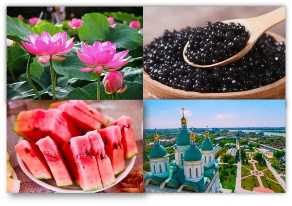 Рисунок5.jpg Рисунок5.jpg